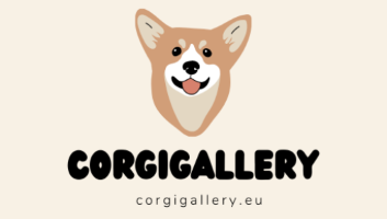 global.corgigallery.eu