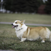 Astersland Question Of Time