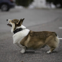 Astersland The Way I See It