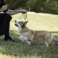 Chess SoPretty Megan Fox