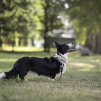 Flutwelle Happy Hestia