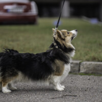 Haus Allerbeste Fiona