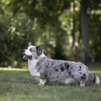 Keksband Beyond The Blue