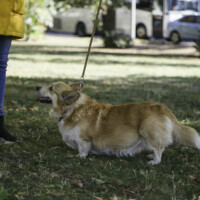 Milli Miller Mileedi