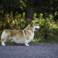 Ormai Ingelwin Berth