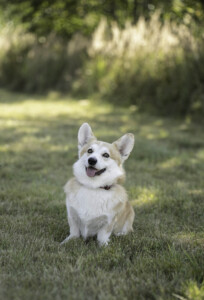 Radvila Perkunas Rudens Legendos Radvila Perkunas Rudens Legendos