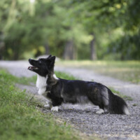 Suchastellar B Mine Matilda