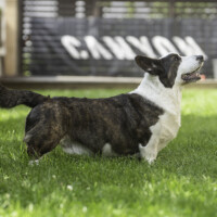 Keksband Never Say Never Again