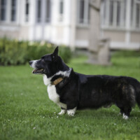 Suchastellar Mio My Mio