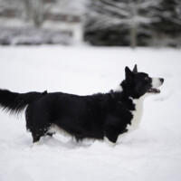 Flutwelle Happy Hades