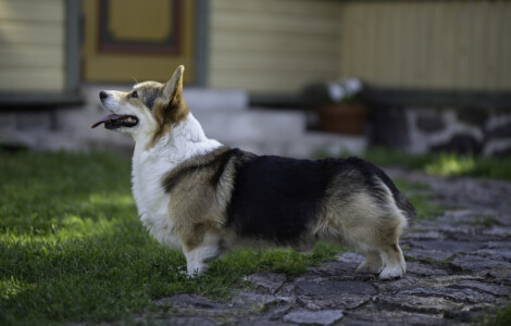 Astersland Playing With Numbers Astersland Playing With Numbers